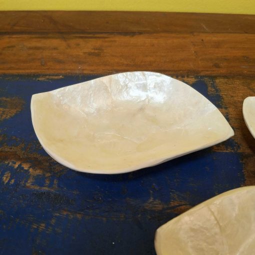 Set piattini foglia madre perla porta antipasti - immagine 3