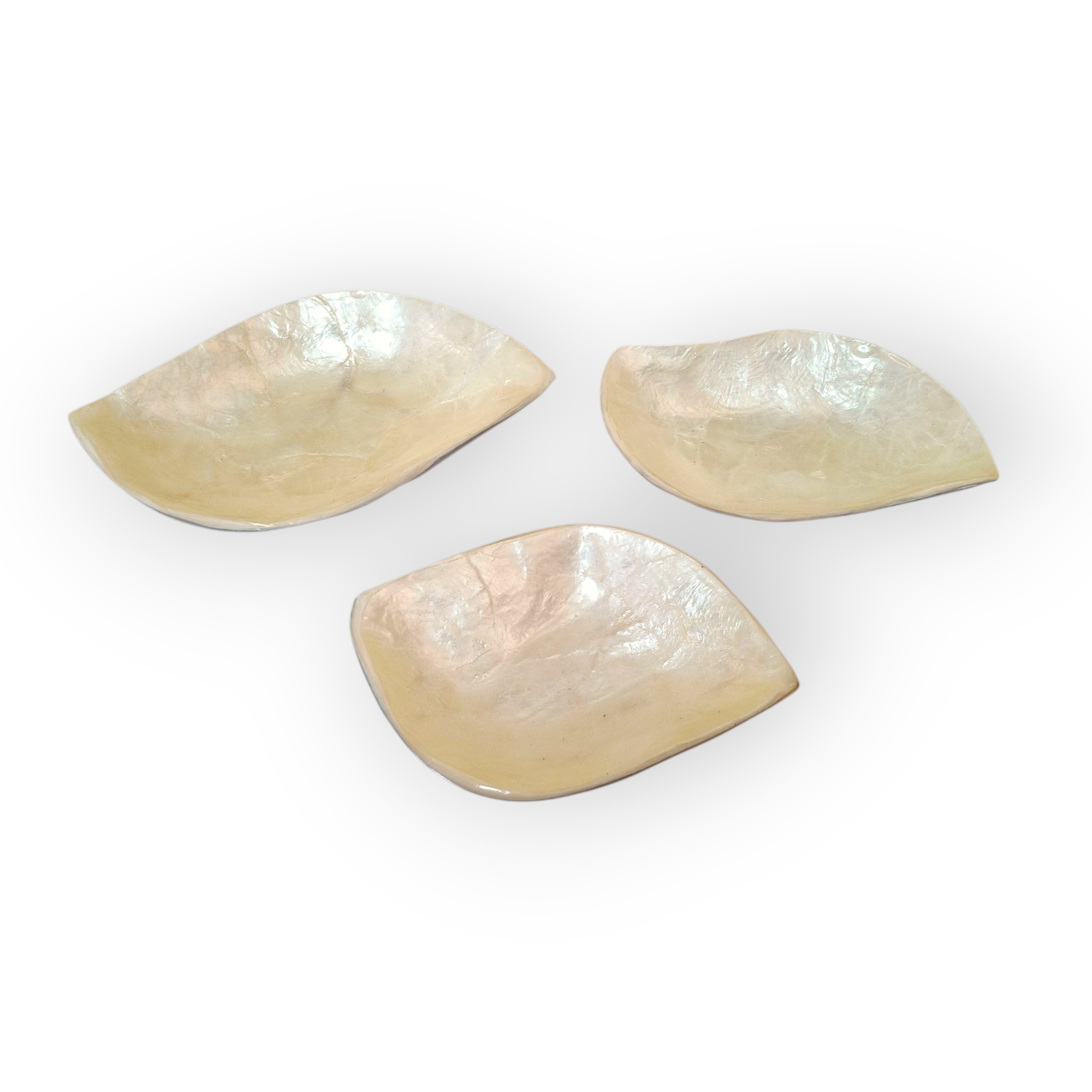 Set piattini foglia madre perla porta antipasti